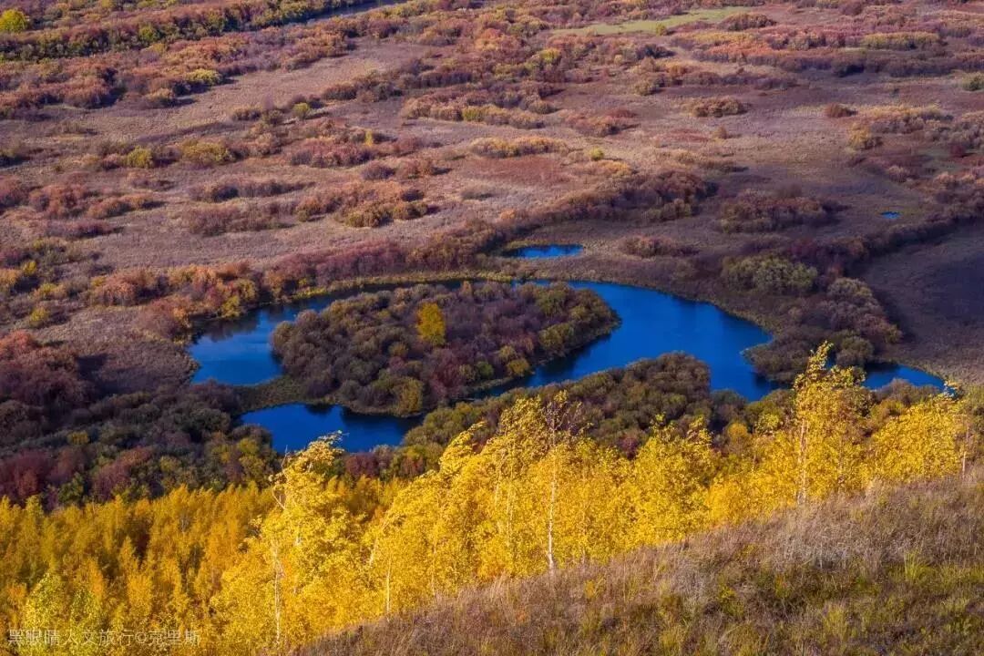 在呼伦贝尔大草原邂逅最美秋天！（组图）