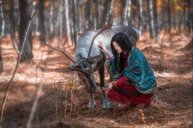 在呼伦贝尔大草原邂逅最美秋天！（组图）