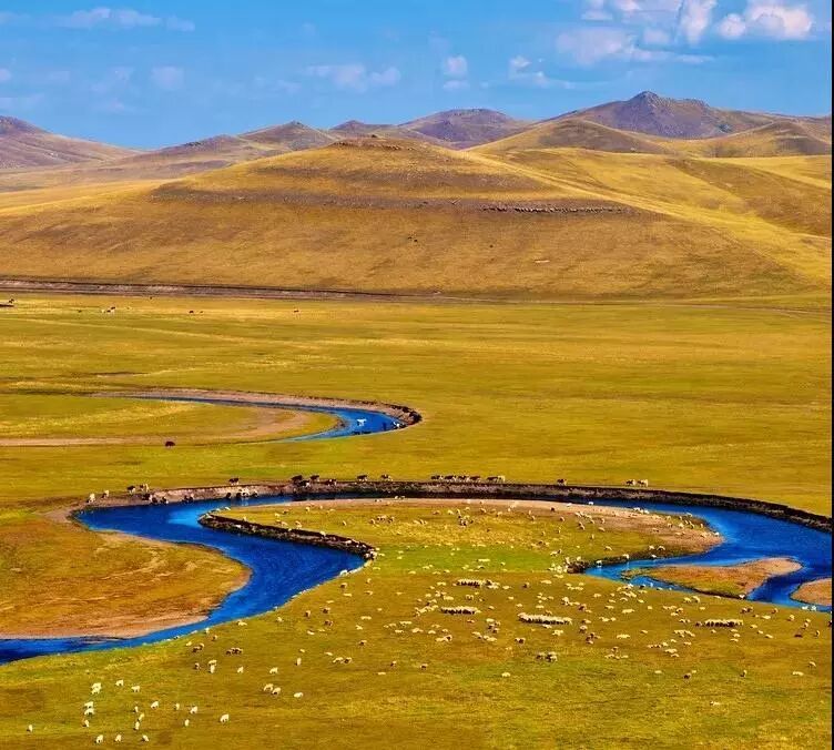 在呼伦贝尔大草原邂逅最美秋天！（组图）