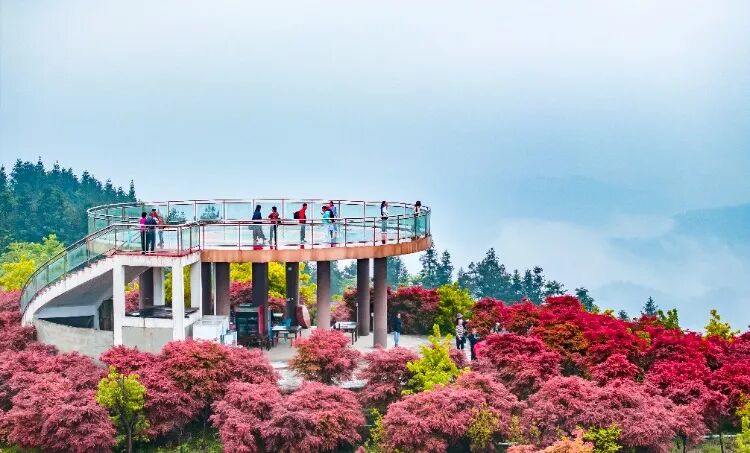 最美人间四月天到巴南这些地方痛快耍一下