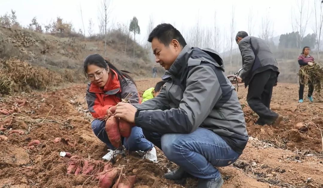 农业节目致富经养牛视频_养牛视频致富经_致富经养牛视频