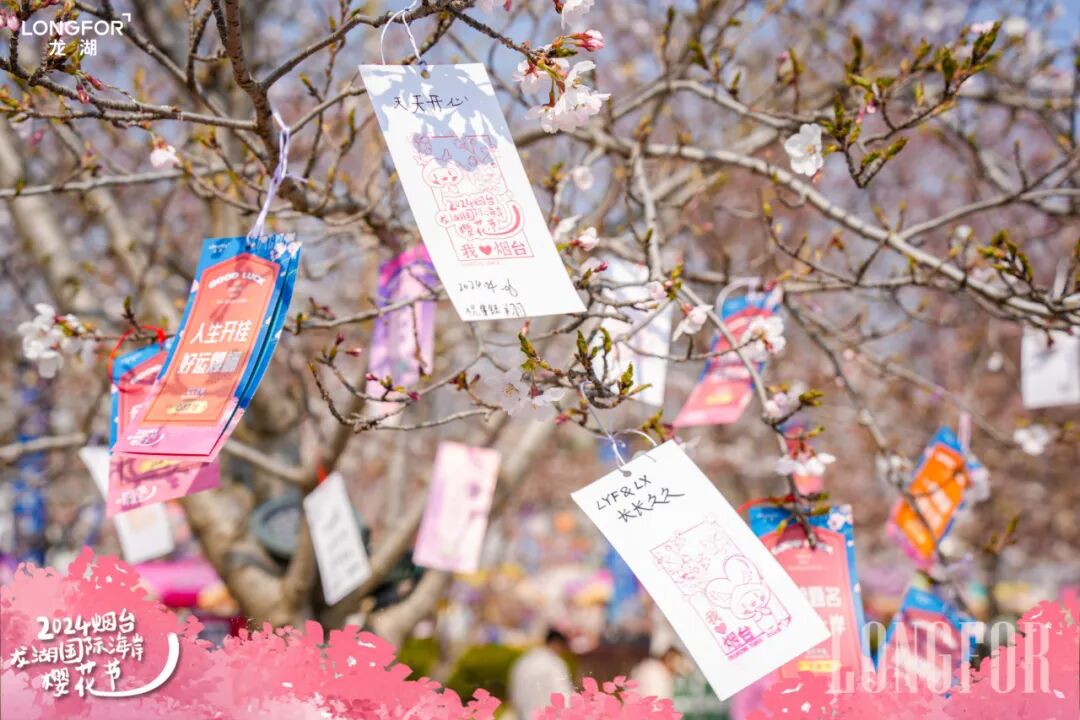 现在来葡醍海湾,还能打卡"2024烟台龙湖国际海岸樱花节",超多趣味玩法