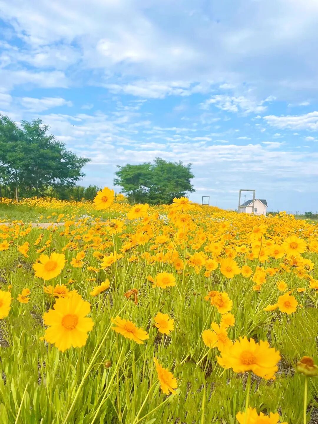 连理岛位于海阳旅游度假区内,紧邻"黄金海岸"海阳万米海滩浴场,属于