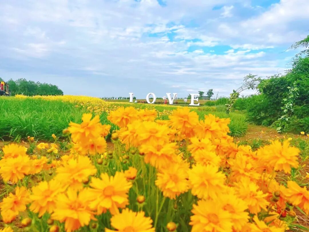 连理岛位于海阳旅游度假区内,紧邻"黄金海岸"海阳万米海滩浴场,属于