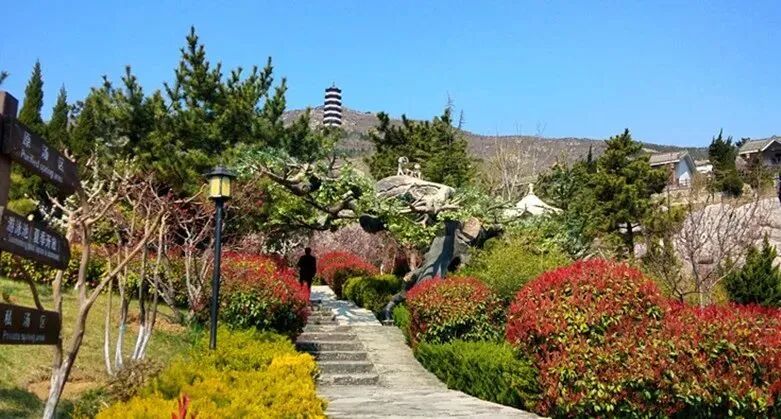 六一大fun送烟台文化旅游优惠活动清单快收藏
