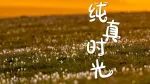 童年回忆来袭，哪些片段属于你？
