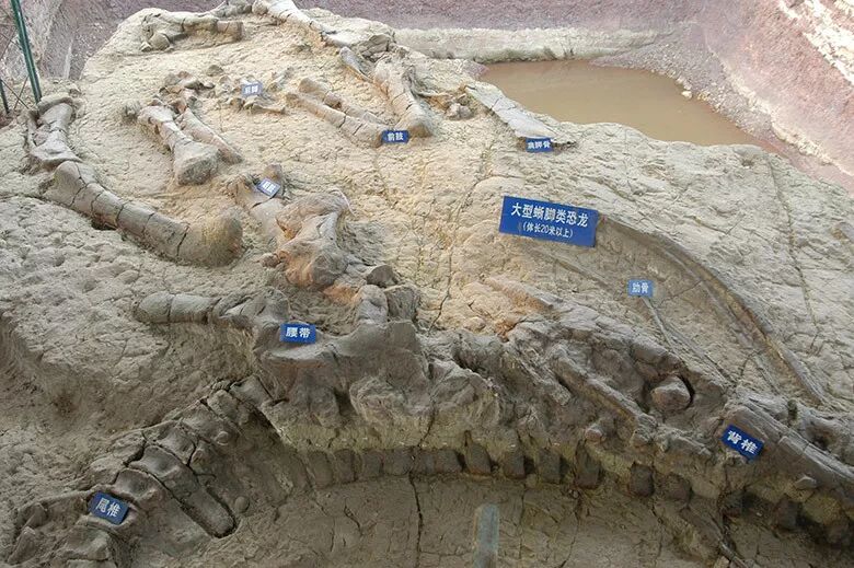 39个世界地质公园，中国地貌景观大赏的图38