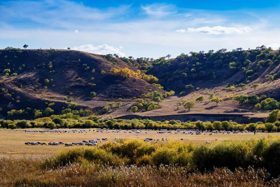 39个世界地质公园，中国地貌景观大赏的图3