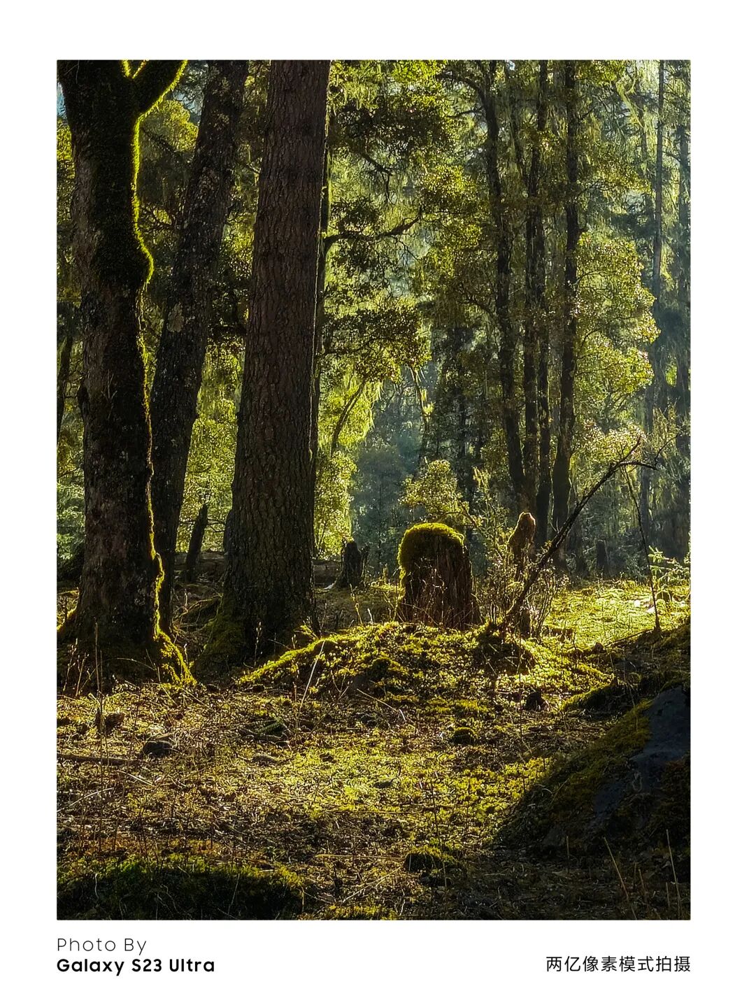 川西秘境 定格横断山河之美