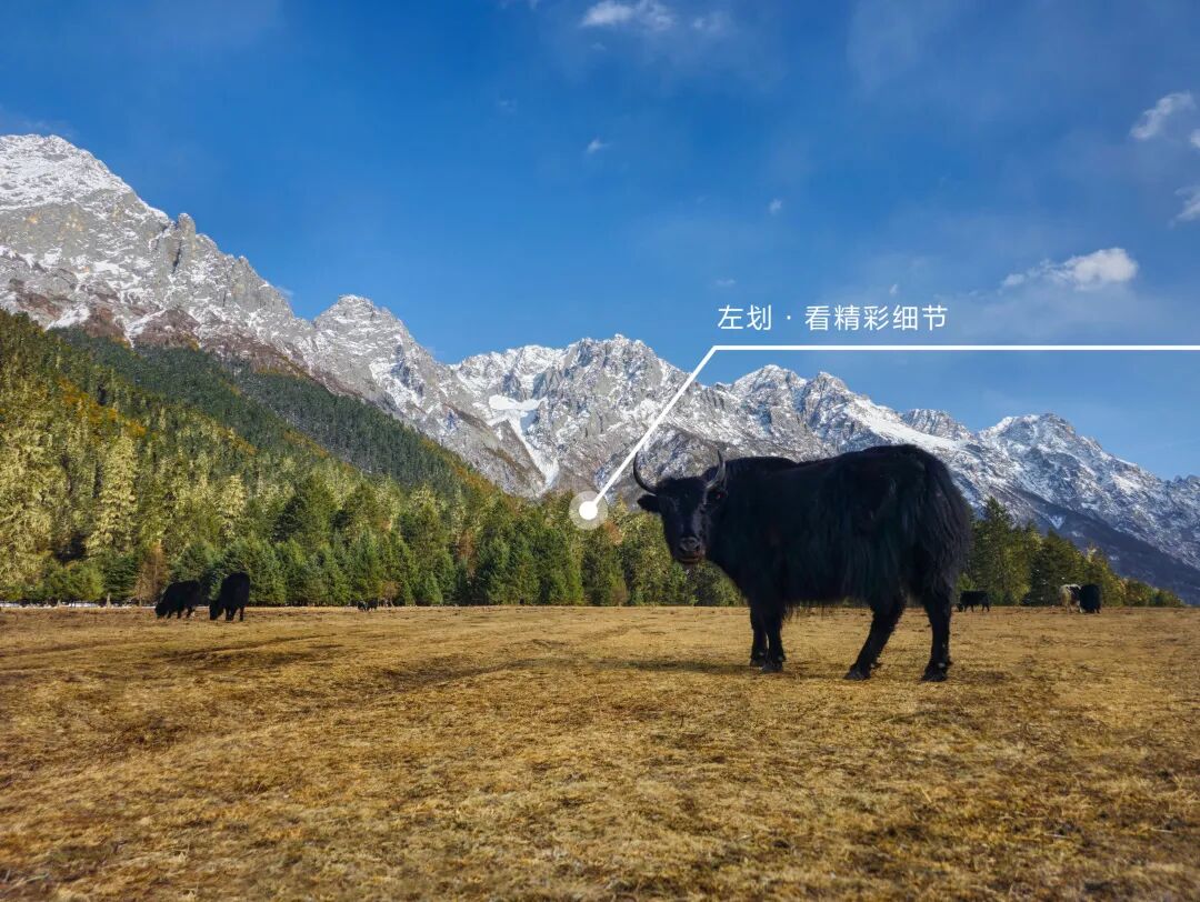 川西秘境 定格横断山河之美