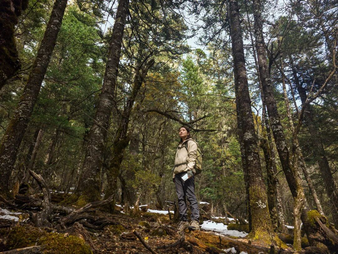 川西秘境 定格横断山河之美