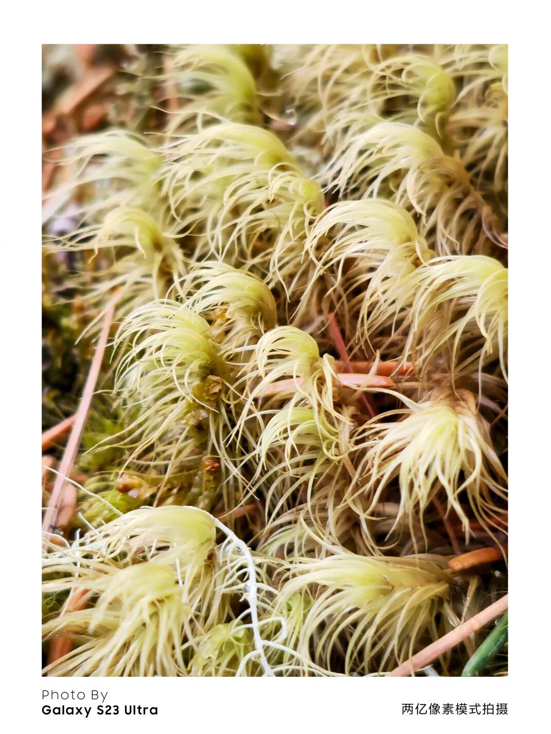 川西秘境 定格横断山河之美