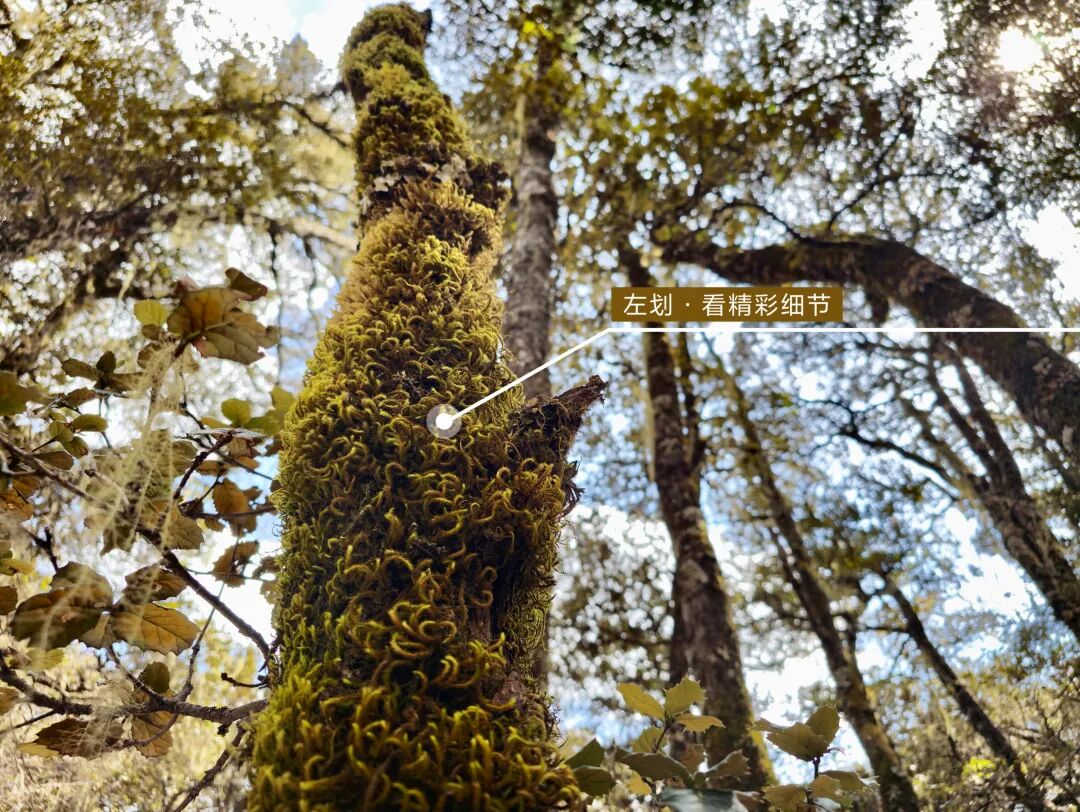 川西秘境 定格横断山河之美