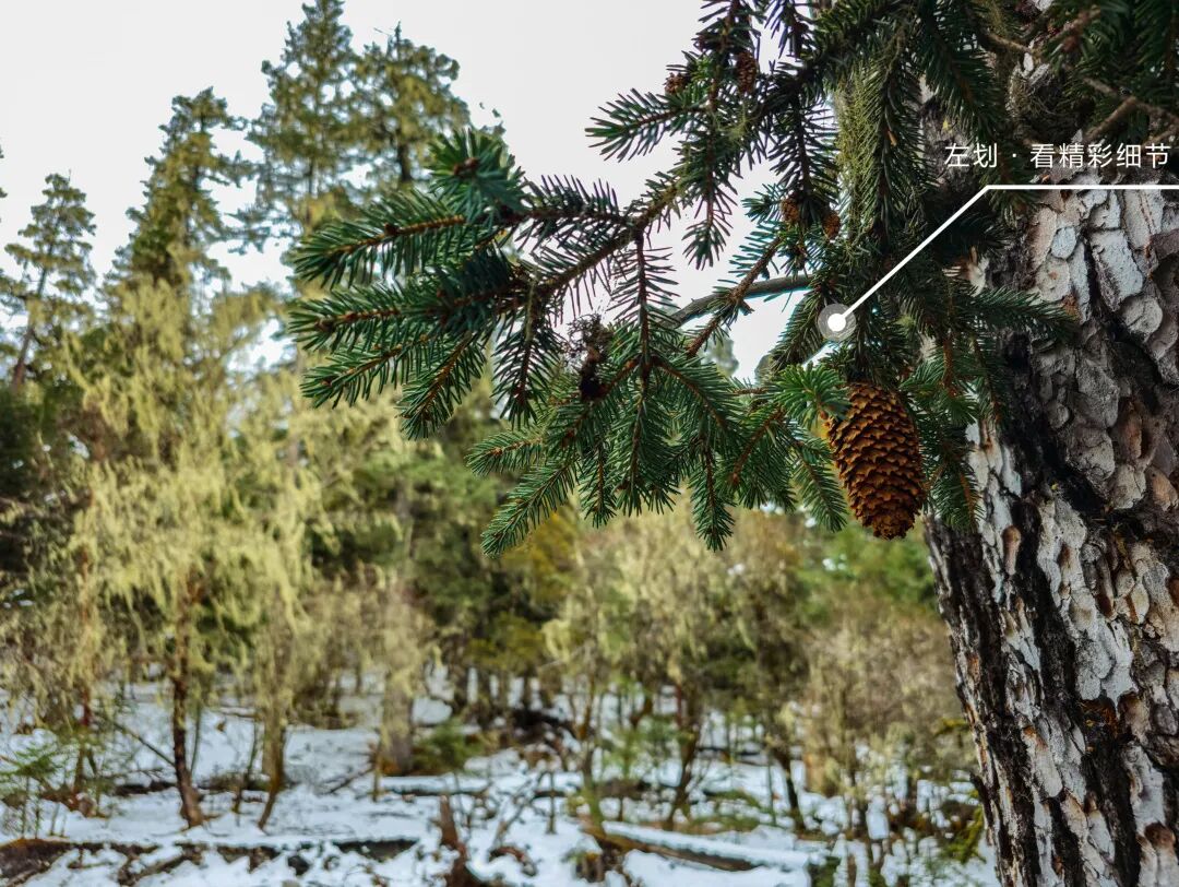 川西秘境 定格横断山河之美