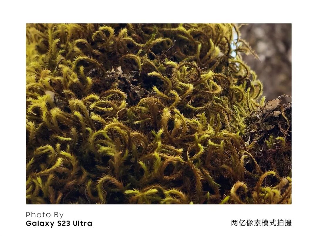 川西秘境 定格横断山河之美