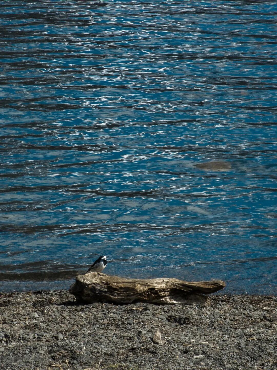 川西秘境 定格横断山河之美
