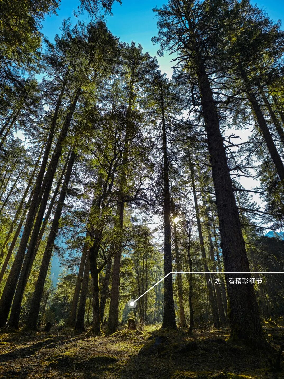 川西秘境 定格横断山河之美