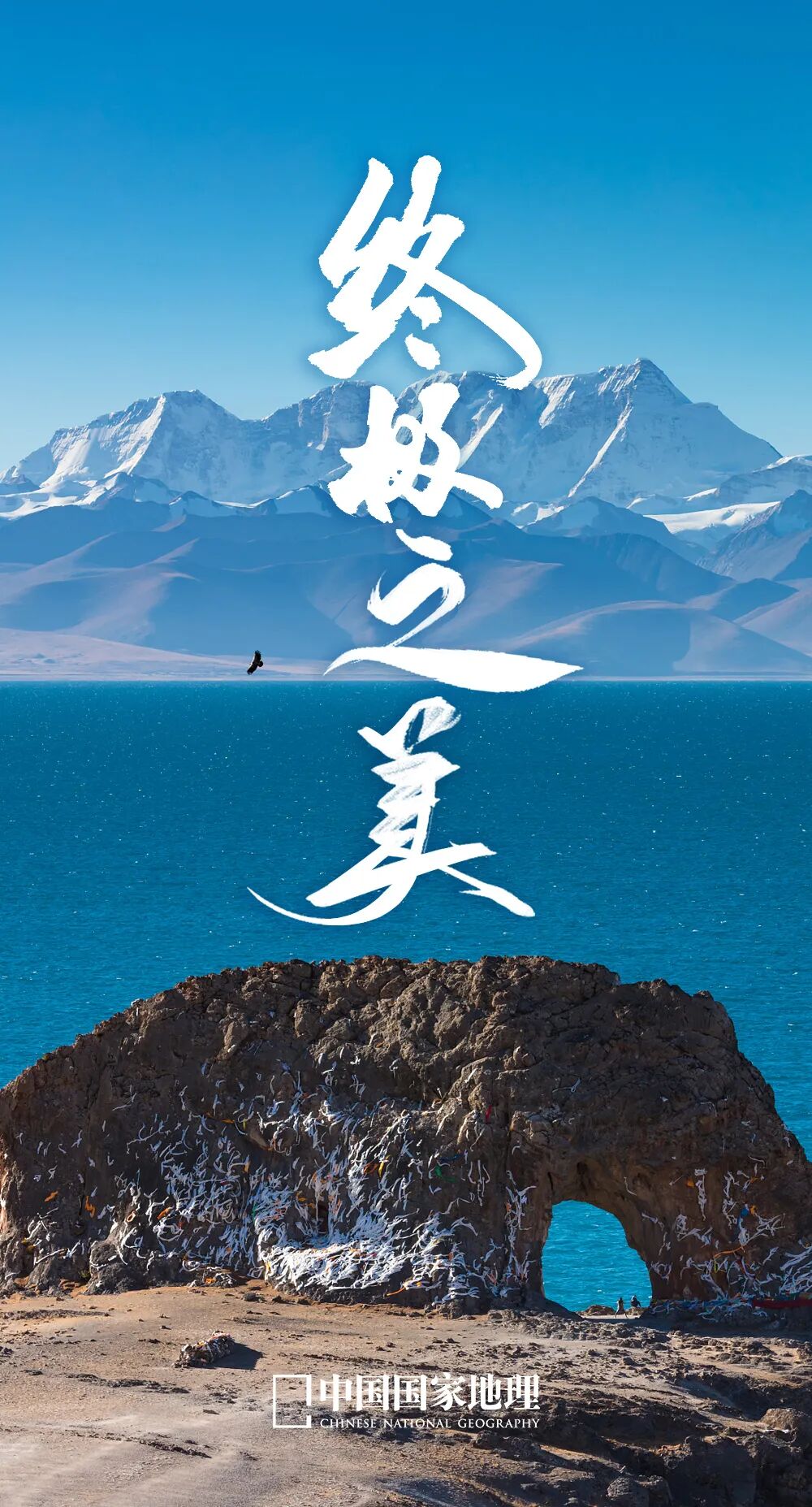 去西藏又多了一个理由