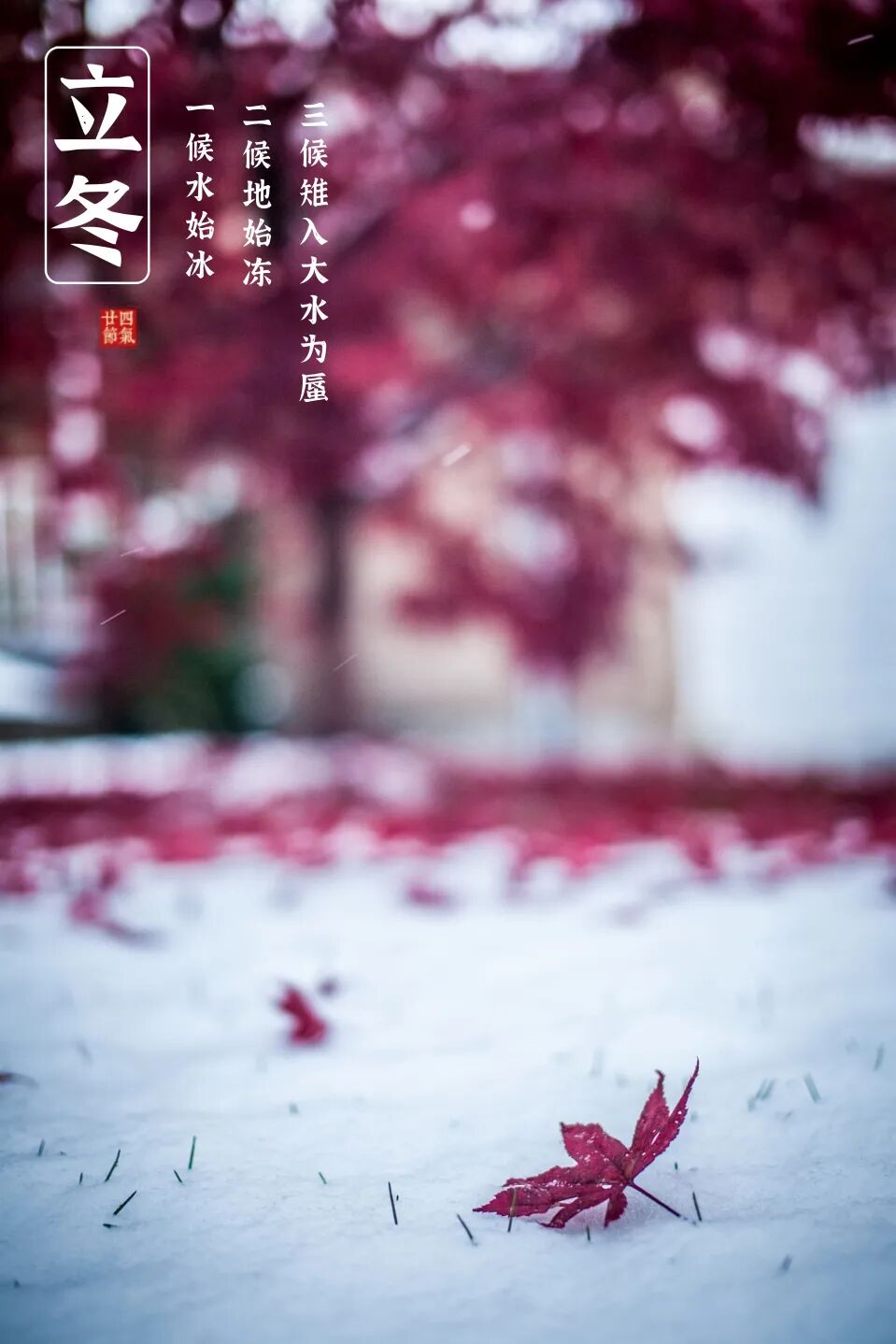 [伤心Share]立冬：今朝秋冬始交，寒炉茶烟袅袅。-BB姬