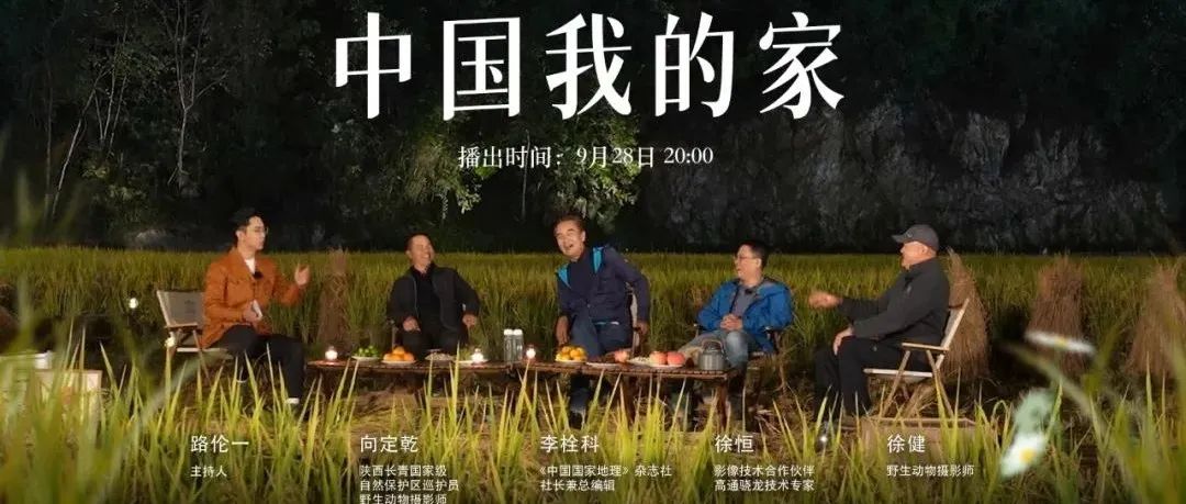 秦岭脚下看直播，“发现中国特有物种”系列纪录片来了！