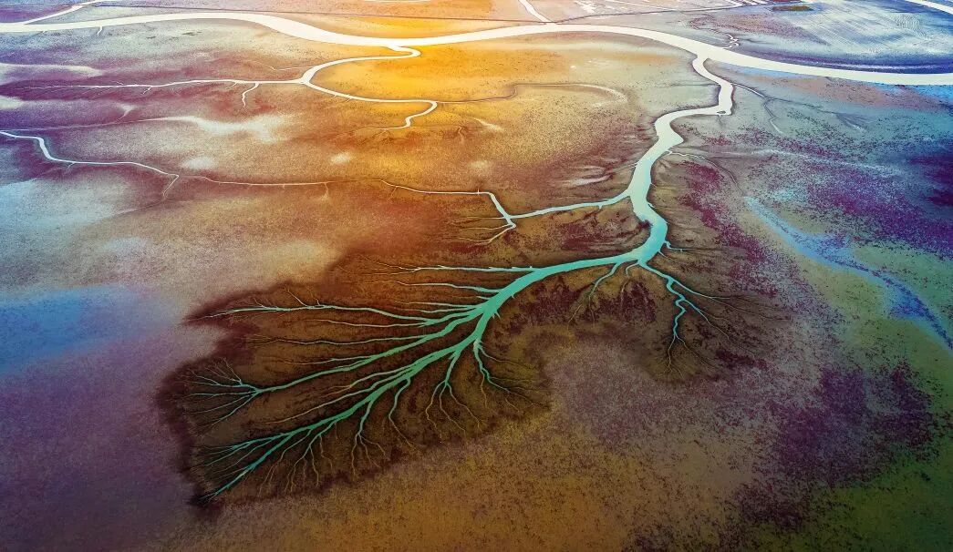 山东你为何这么多“顶流”？