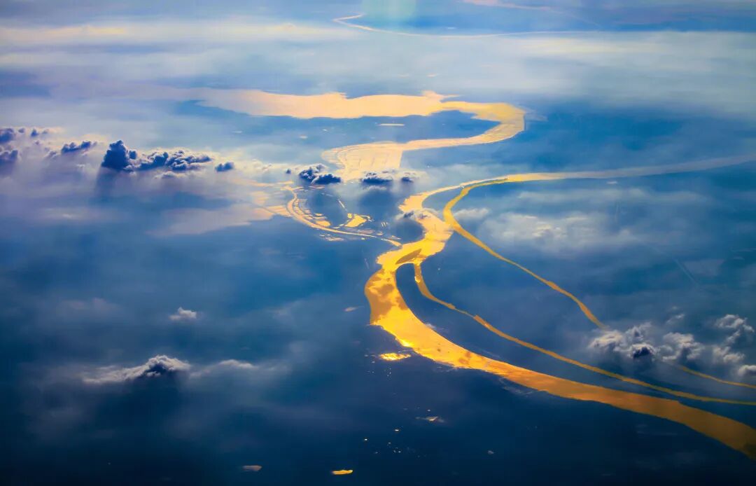 山东你为何这么多“顶流”？