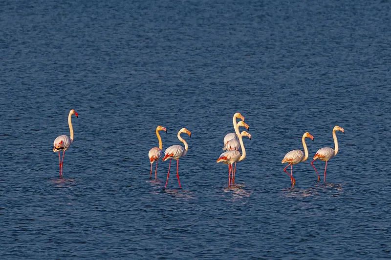这个五一假期，还有没有真正的小众目的地了？（有，找到了）