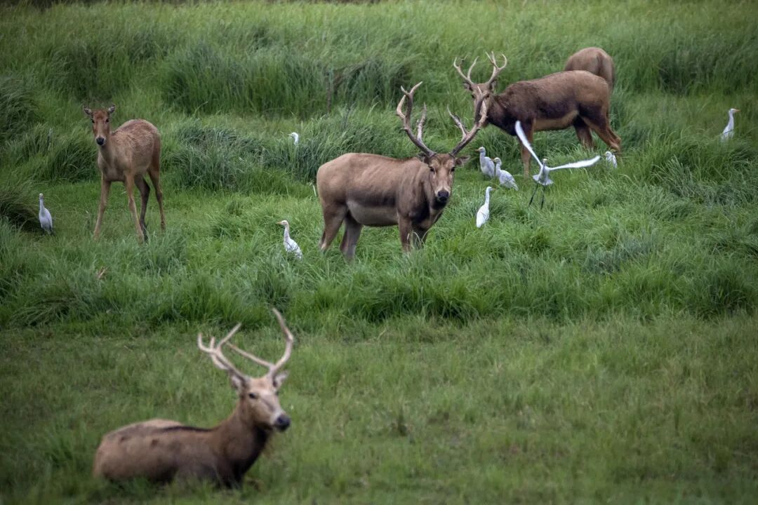 这个五一假期，还有没有真正的小众目的地了？（有，找到了）