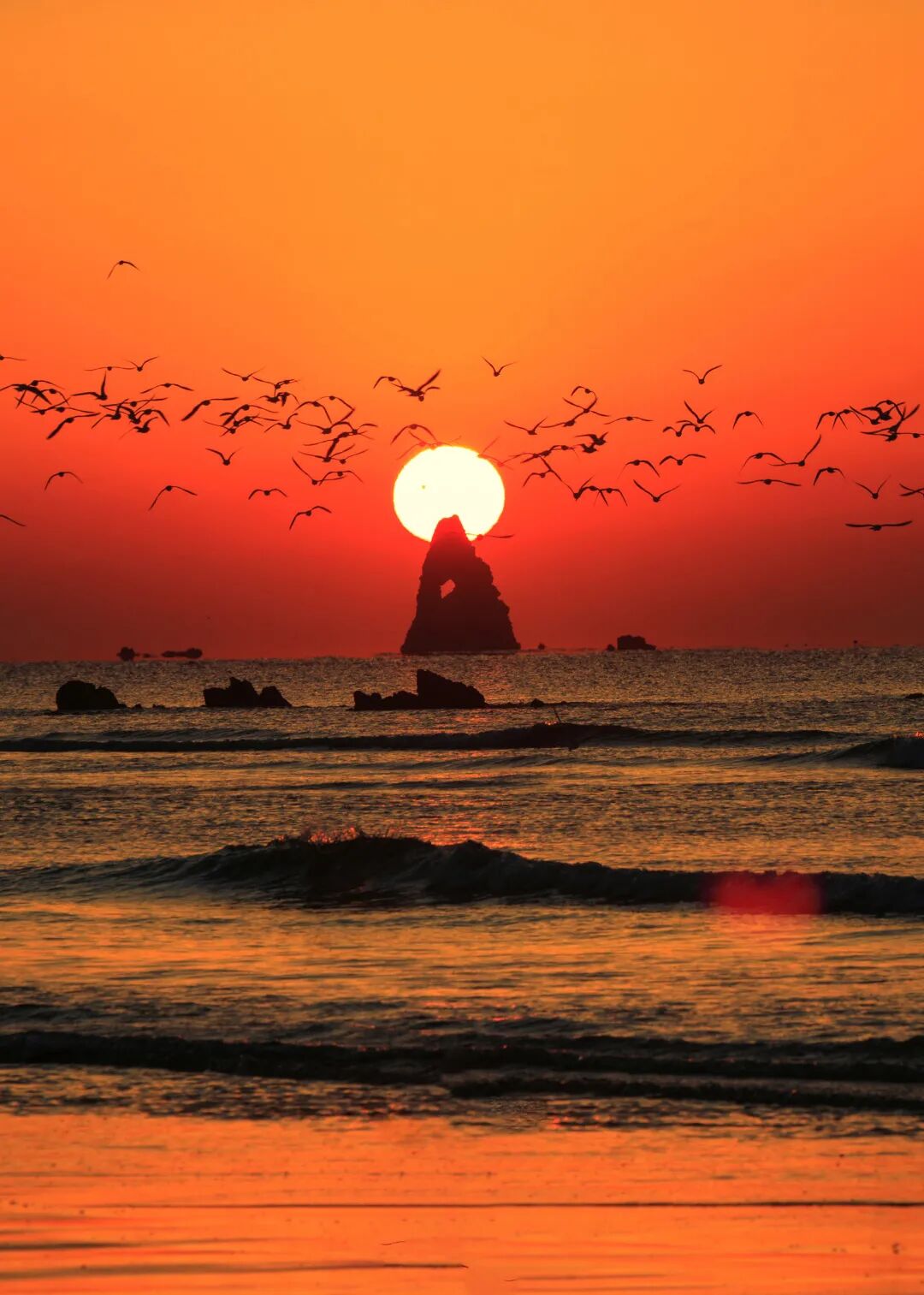 神州大地,已经苏醒飞鸟在旭日东升的海上飞翔当第一缕曙光戳破暮色