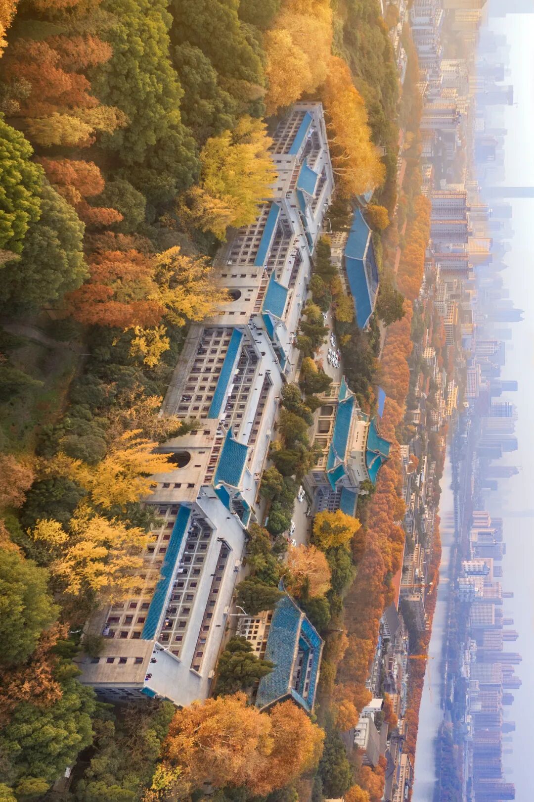 赤茶色 瓦 仙台