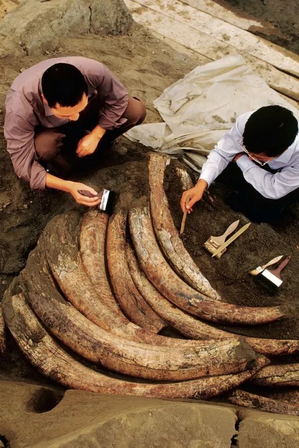 想来想去，只有成都