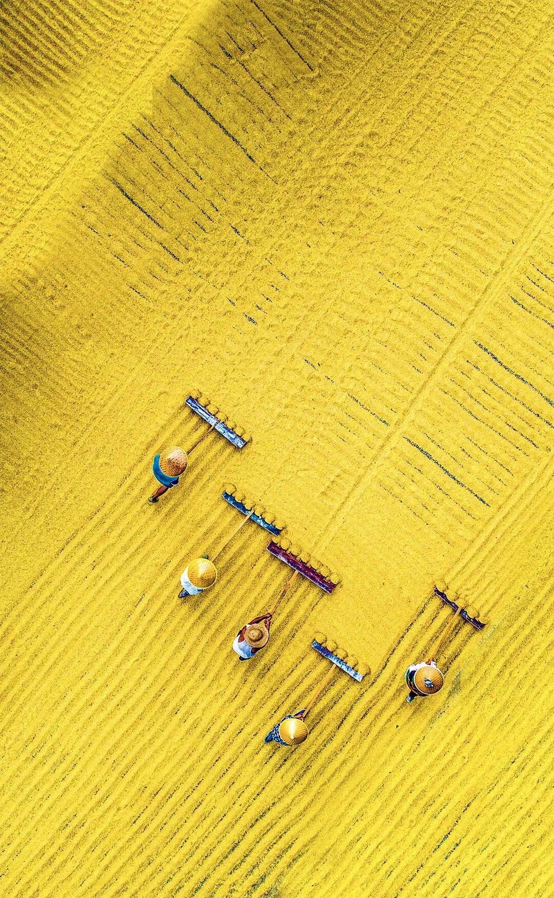 想来想去，只有成都