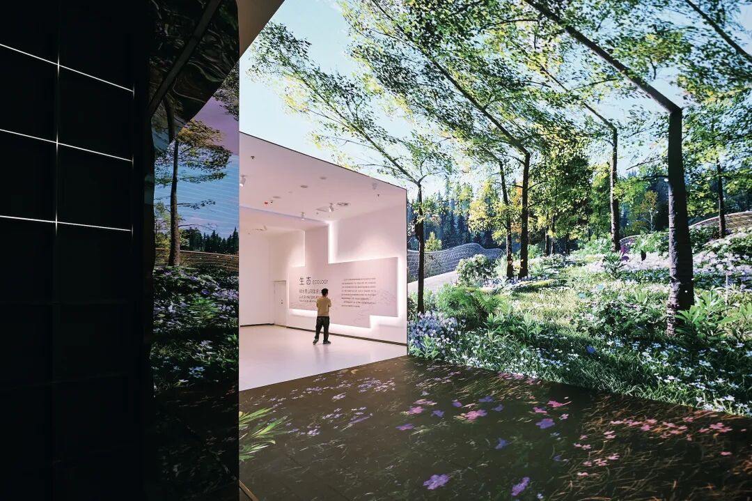 想来想去，只有成都