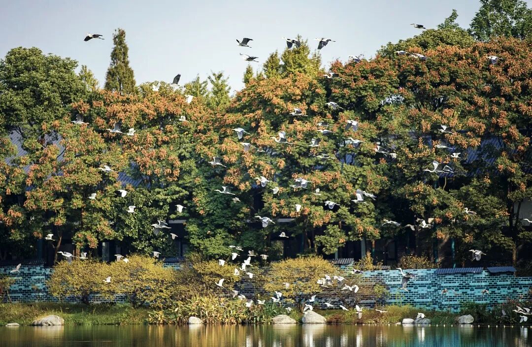 想来想去，只有成都