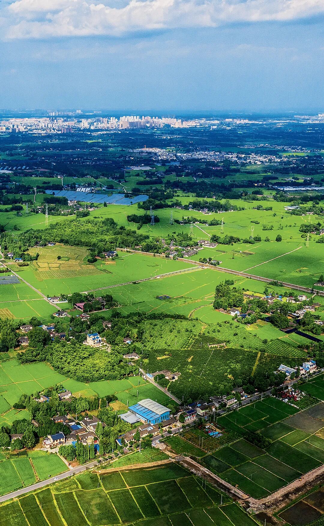 想来想去，只有成都