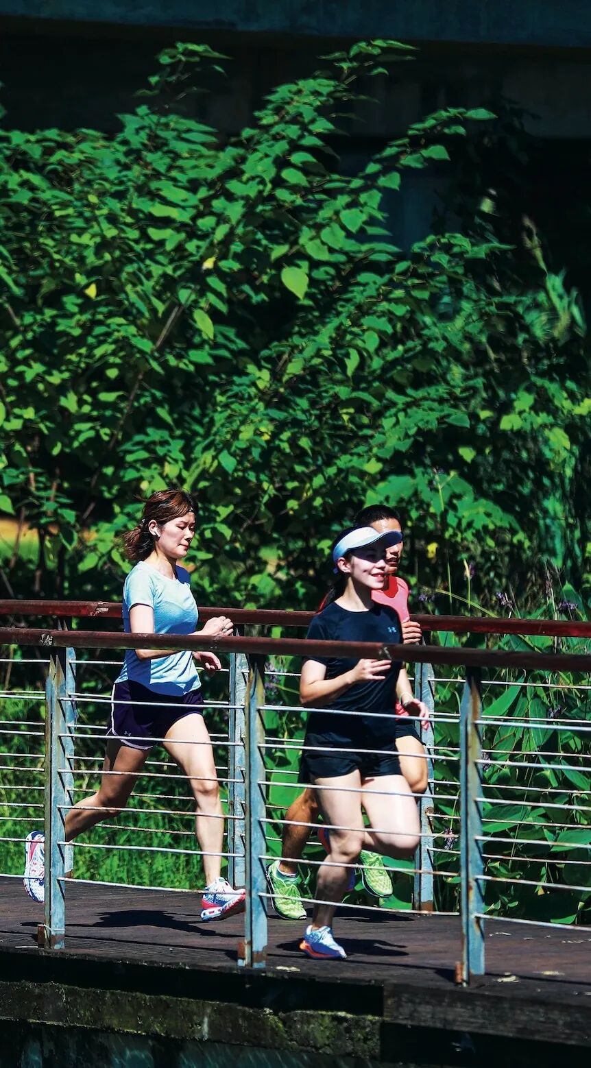 想来想去，只有成都