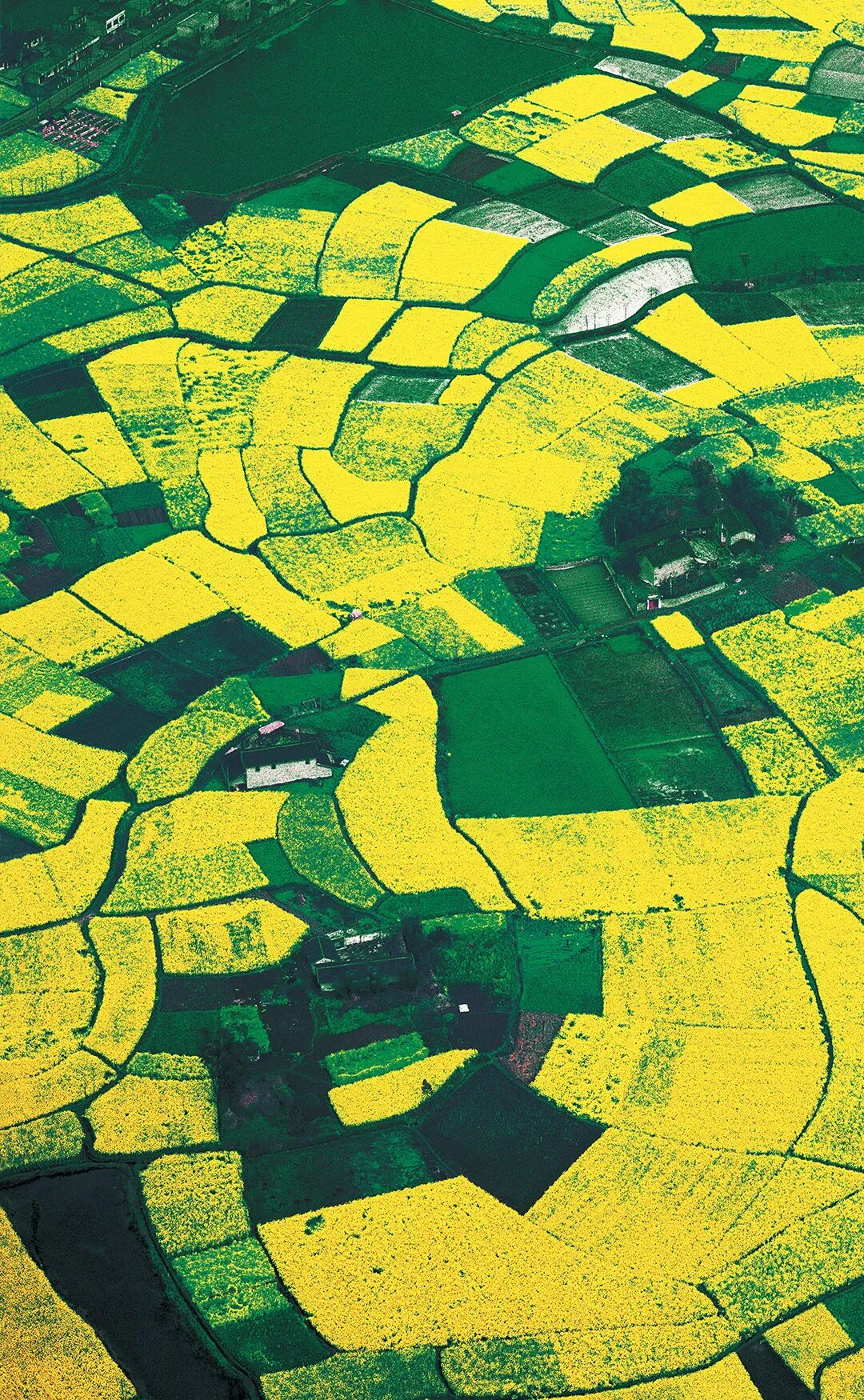 想来想去，只有成都