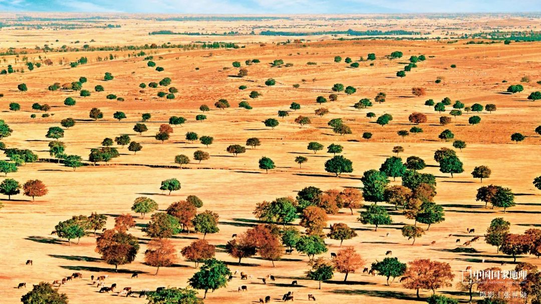 在中国，打卡全世界的美景