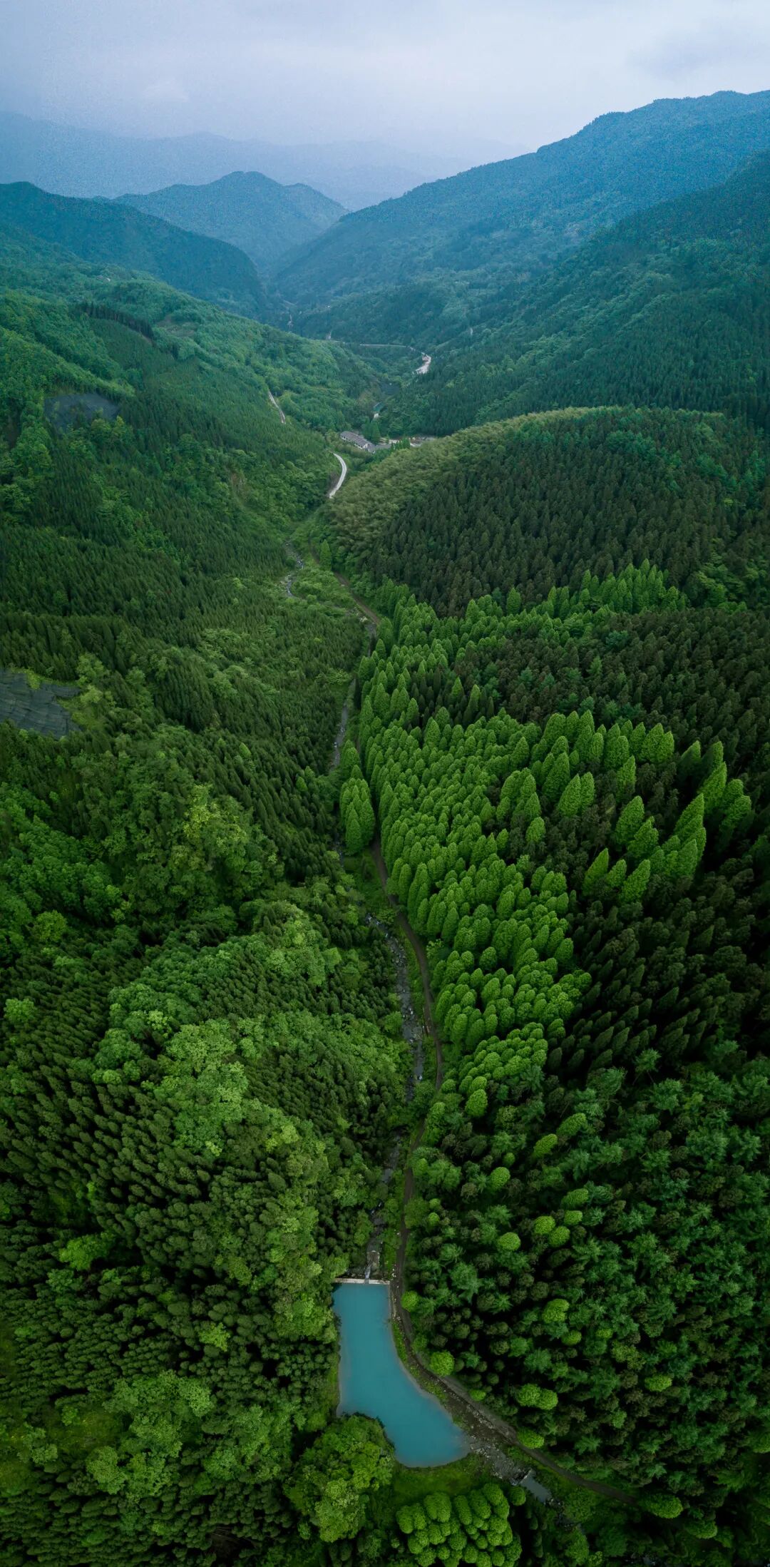 想来想去，只有成都