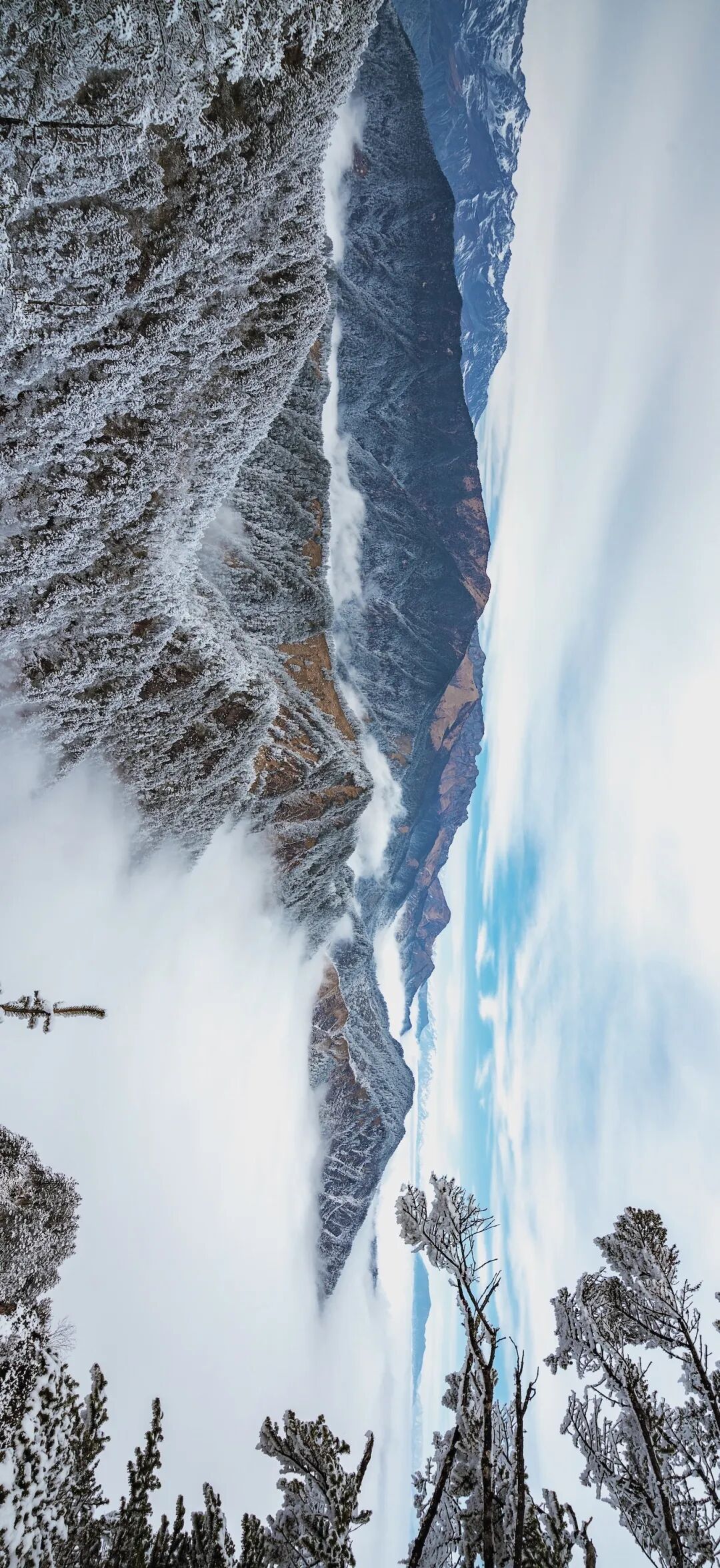 想来想去，只有成都