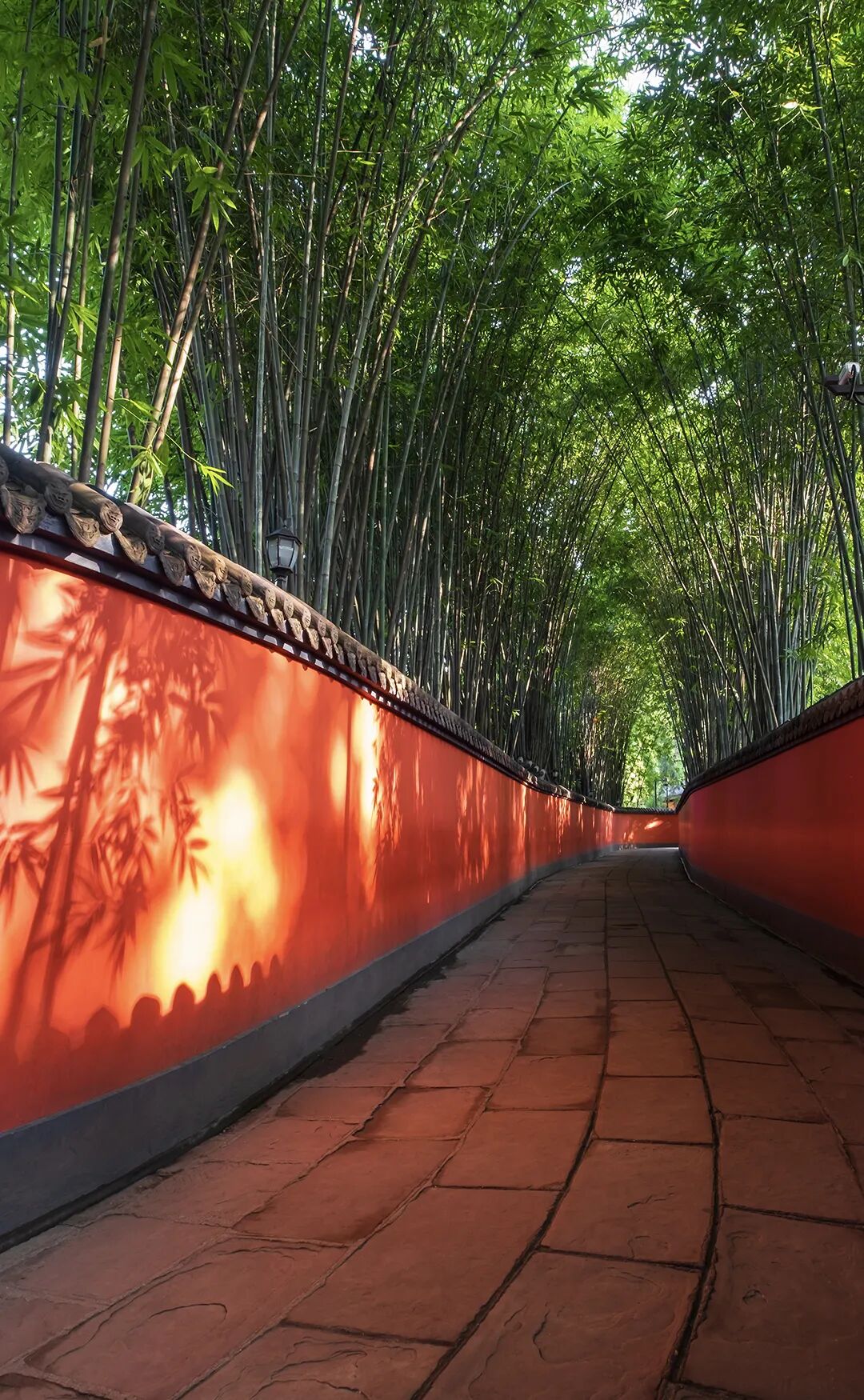 想来想去，只有成都