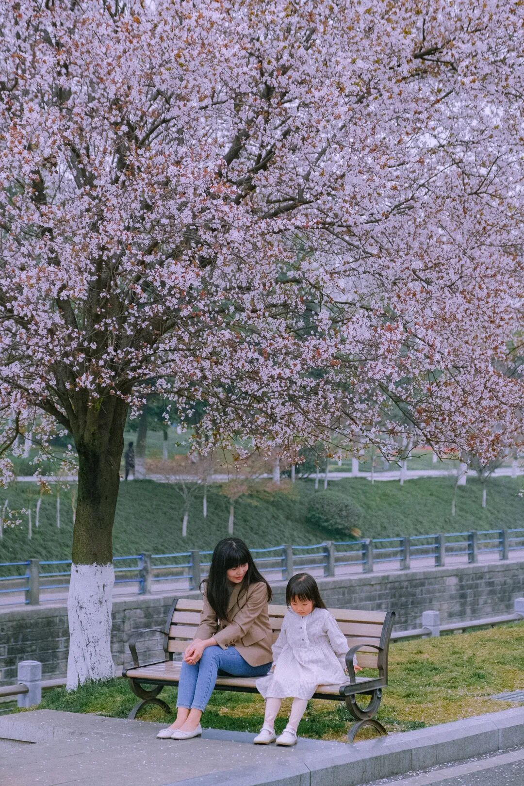 想来想去，只有成都