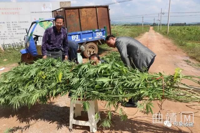 致富种植公司董事长_种植致富经_致富种植养殖