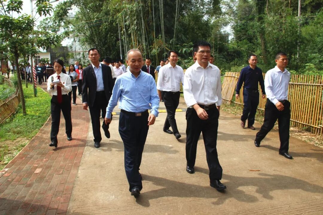 文章详情-怀集县生活门户