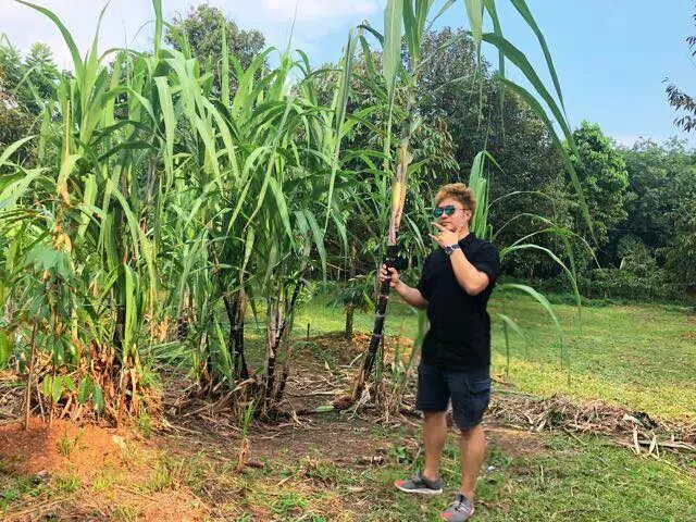 被关了三个月…二宝爸想和你们掏心掏肺地聊聊“自由职业宅家上班”这件事~(图12)