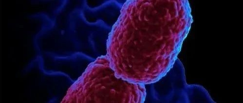 cover_image