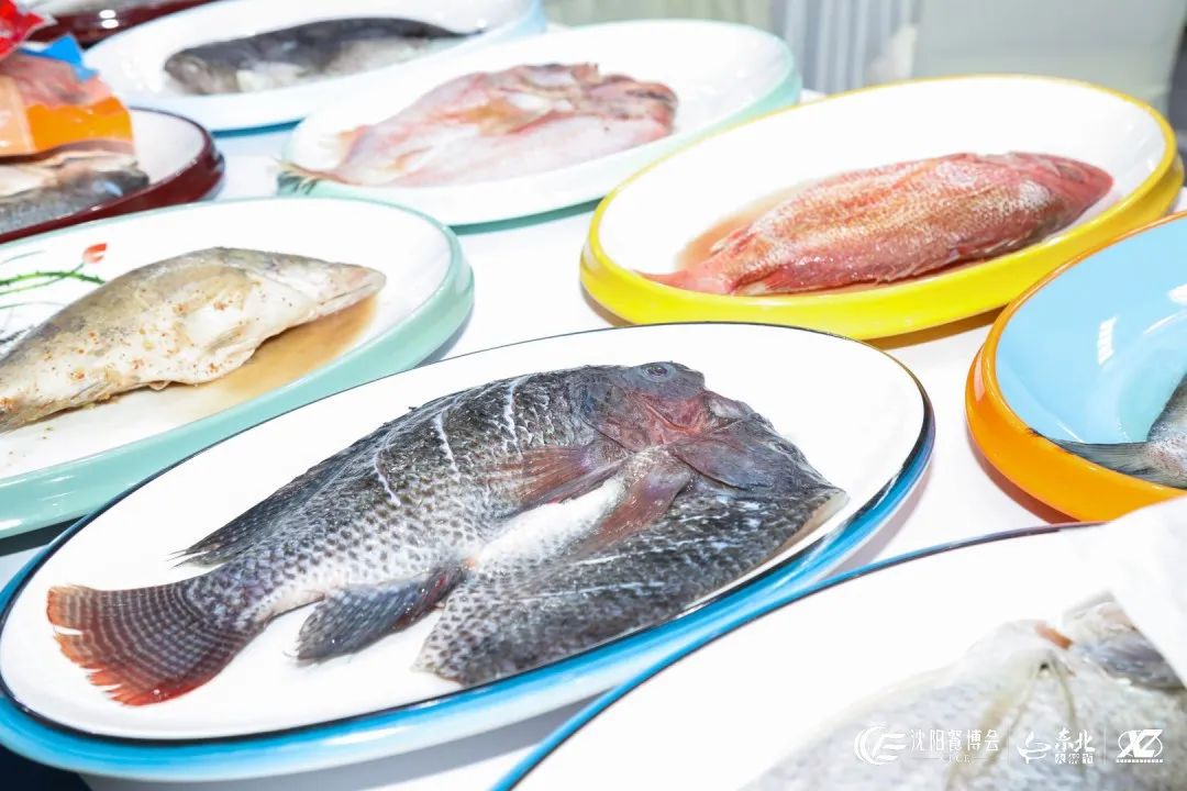 《中国的远洋渔业发展》白皮书发布，水产预制菜市场大有可为，来东北掘金！(图3)