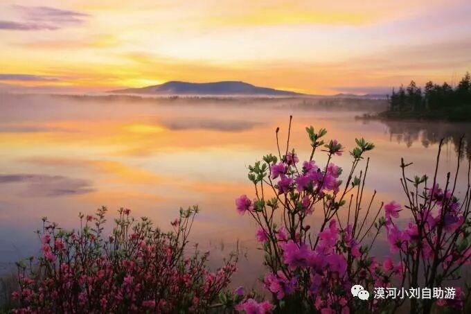 阿尔山旅游，超全攻略！