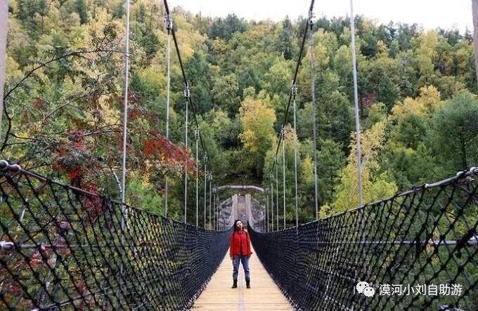 阿尔山旅游，超全攻略！