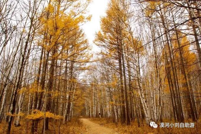 阿尔山旅游，超全攻略！